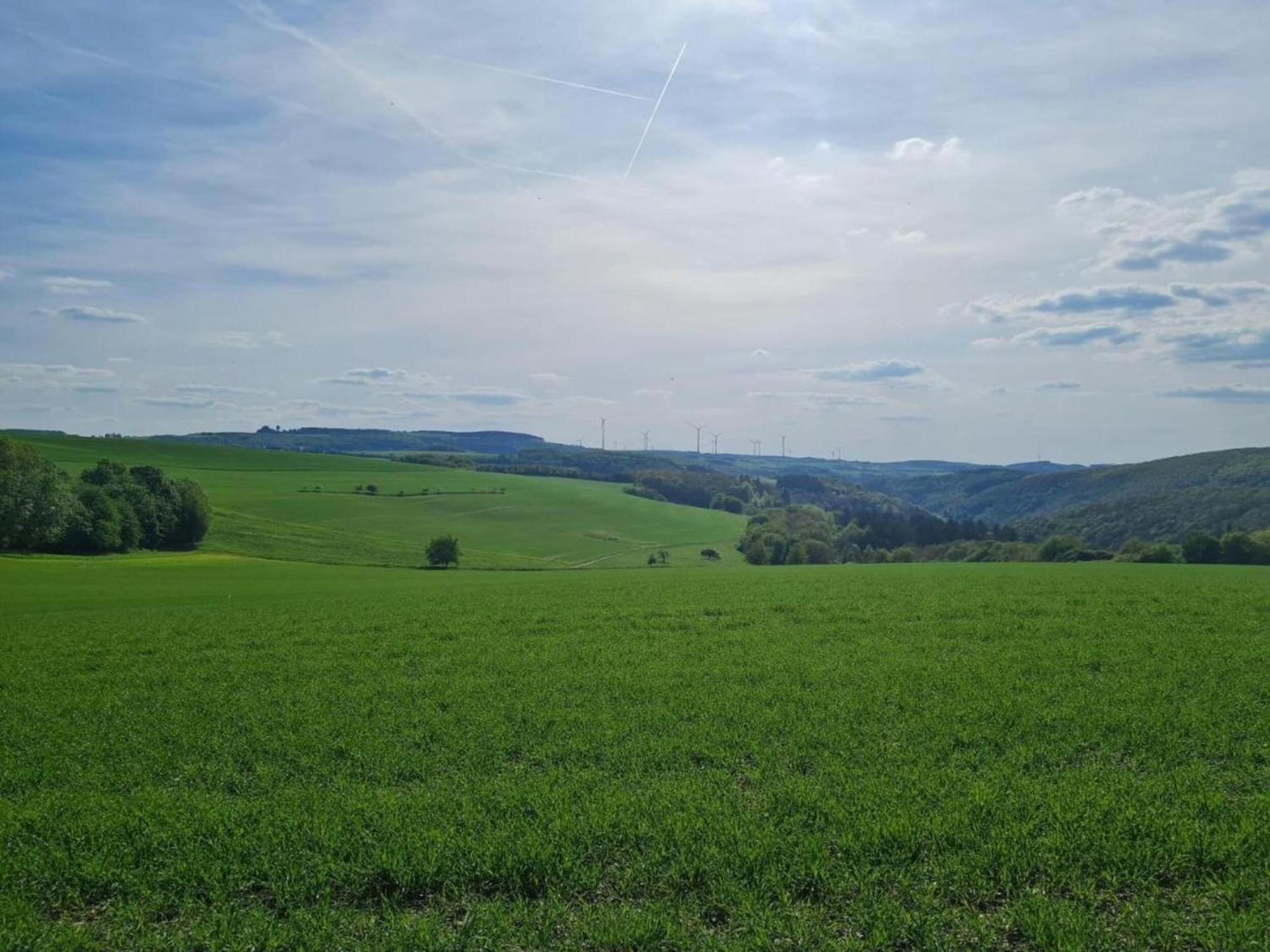 Tranquil Holiday Home In Filz In The Eifel With Garden Exteriör bild